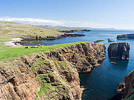 悬崖,设得兰群岛,北方,岛,苏格兰,大幅,尺寸