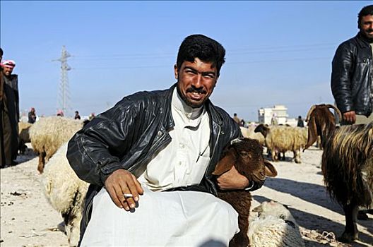 男人,市场,绵羊,山羊,叙利亚,亚洲