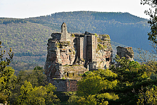法国,城堡,遗址,12世纪