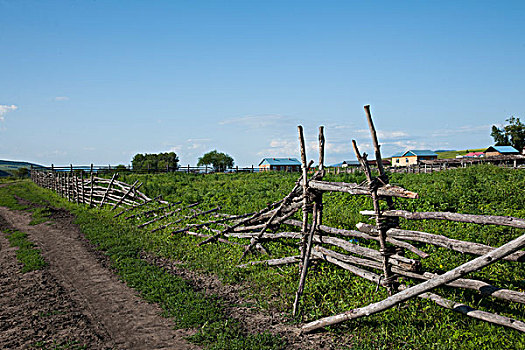 内蒙古呼伦贝尔额尔古纳临江草原的木栅栏