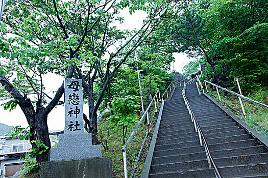 北海道之夏