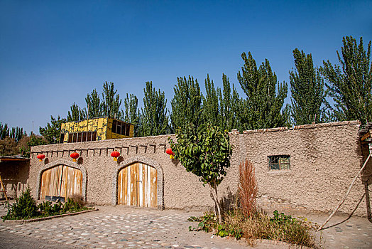 新疆泽普金胡杨国家森林园区沙枣人家