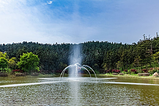 江苏省南京市银杏湖公园喷泉湿地自然景观