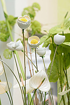 复活节装饰,蛋壳,花,白色,马蹄莲