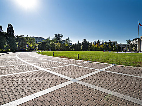 清华大学中央主楼前广场道路与绿地绿植