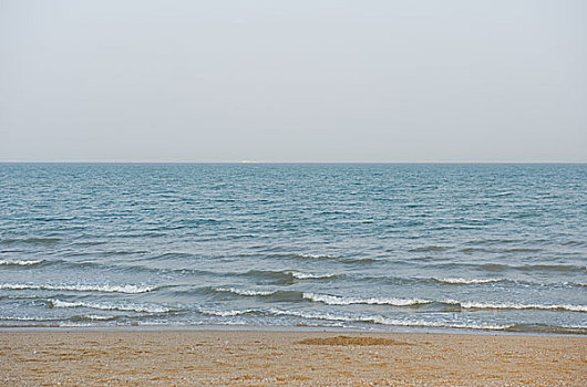 海滩,海洋