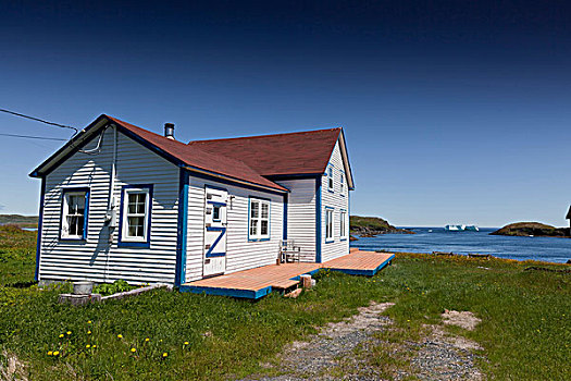 房子,冰山,小路,纽芬兰,拉布拉多犬,加拿大