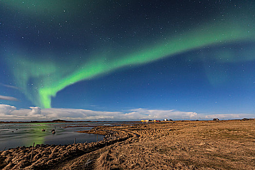 北极光,海滩,后面,岛屿,罗弗敦群岛,挪威,欧洲