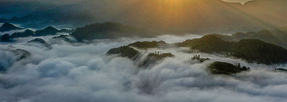 山区晨雾如幻境