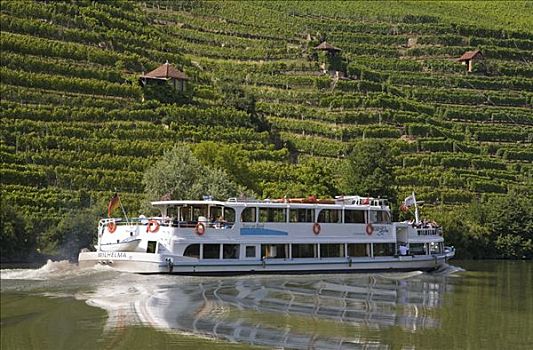 游船,内卡河,靠近,葡萄园,葡萄种植,斯图加特,巴登符腾堡,德国