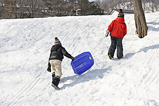 孩子,雪橇运动