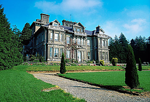房子,爱尔兰,19世纪,郊区住宅
