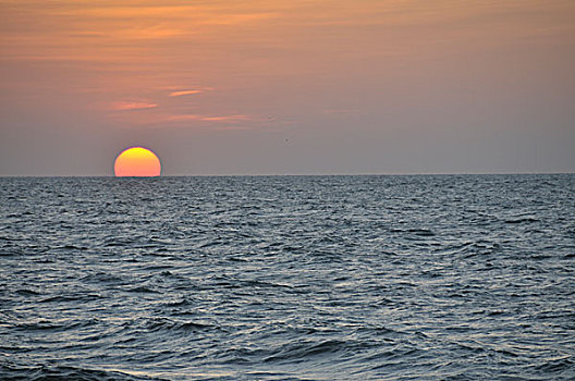 日落,高处,海洋,斯里兰卡,亚洲
