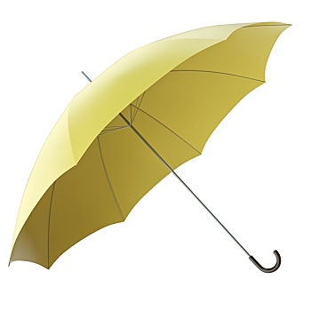 黄色,伞,隔绝,白色背景,背景