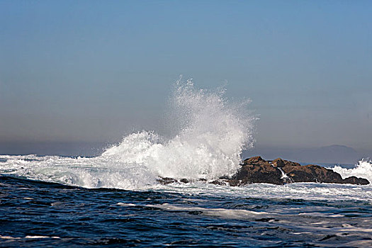 波浪,岩石上,海岸,南非