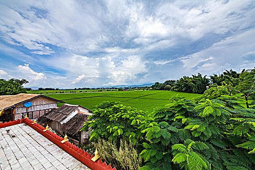 田园乡村