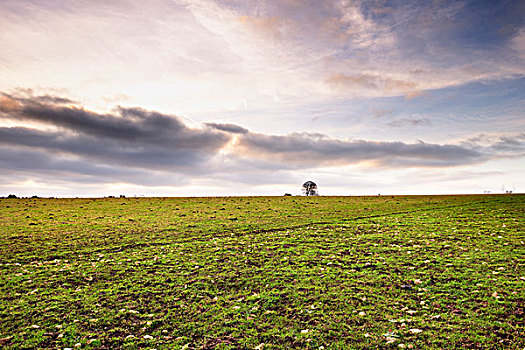 云,上方,土地,冬天,科茨沃尔德,格洛斯特郡,英格兰,英国