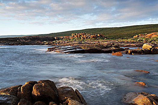 岩石,海岸线,西澳大利亚州,澳大利亚