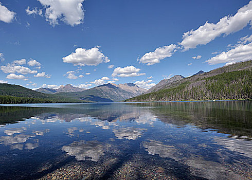 云,反射,湖,冰川国家公园,蒙大拿,美国
