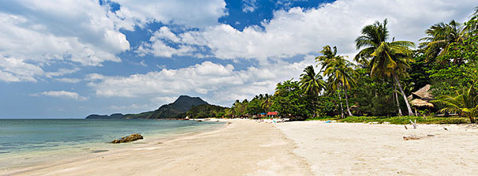 棕榈海滩,金色,珍珠,海滩,苏梅岛,岛屿,甲米,泰国,东南亚