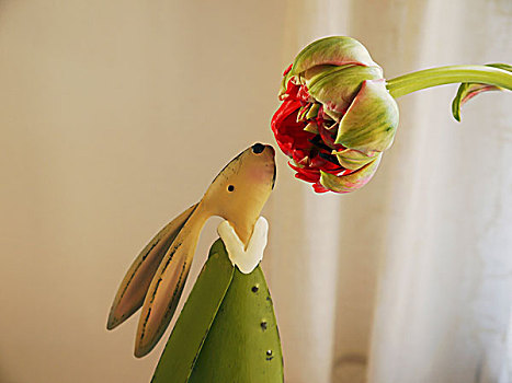 野兔,小雕像,嗅,花