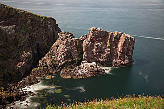 岩石构造,海岸,头部,苏格兰边境,苏格兰