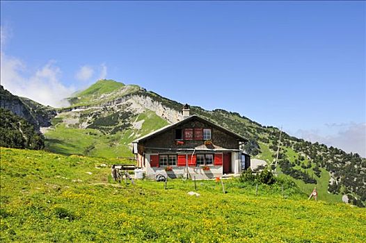 阿尔卑斯小屋,山,正面,阿彭策尔,瑞士,欧洲