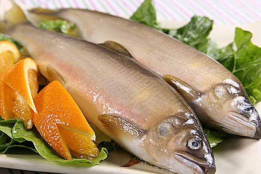 日本香鱼