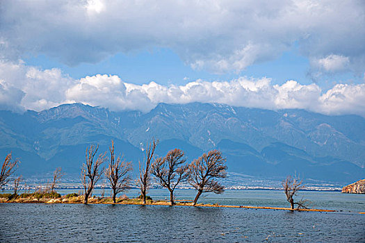 云南大理海东镇洱海湿地