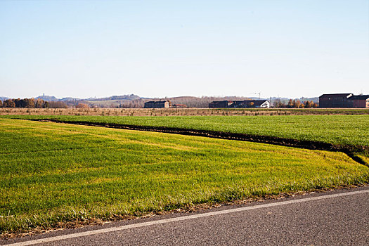 乡野,风景,道路