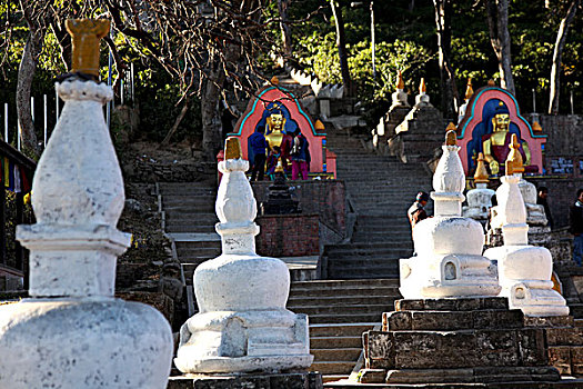 博大哈猴庙