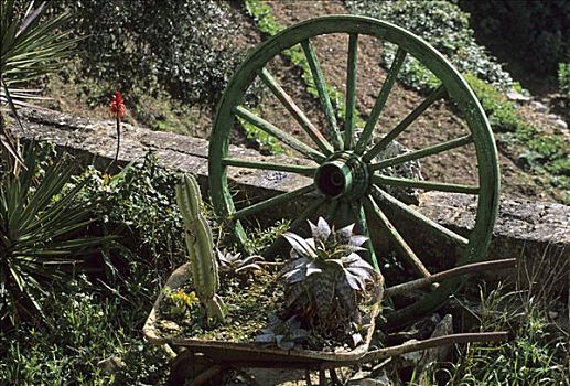 轮子,马略卡岛