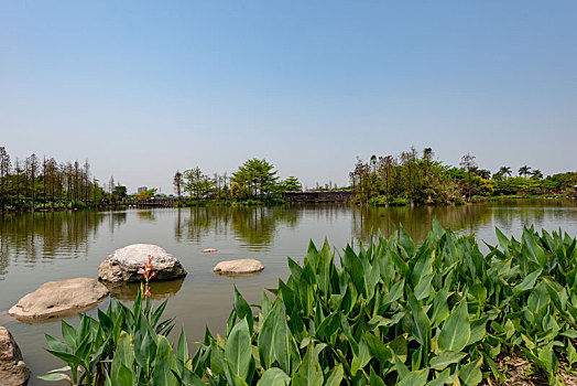 海珠湖