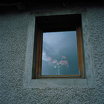 窗户,玫瑰,比利牛斯山脉