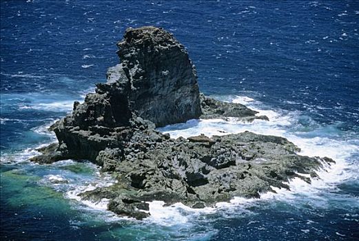 岩石,岛屿,海岸,帕尔玛,加纳利群岛,西班牙