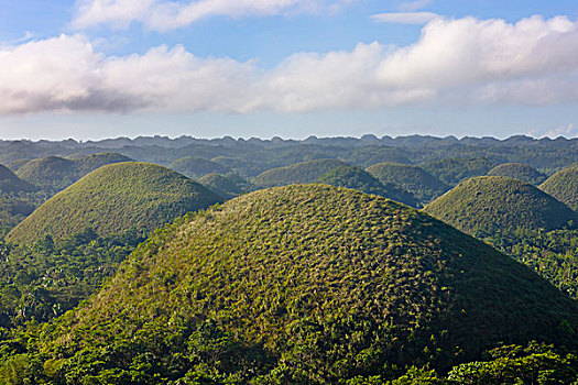 巧克力,山,薄荷岛,菲律宾