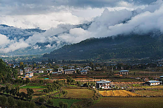 房子,山谷,布姆唐,地区,不丹