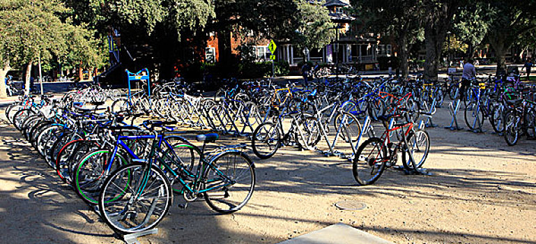 自行车,大学,加利福尼亚,校园