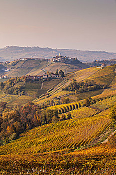 风景,秋天,葡萄园,山,乡村,意大利