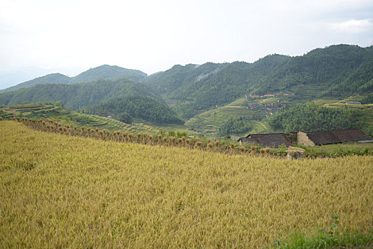 武夷山水