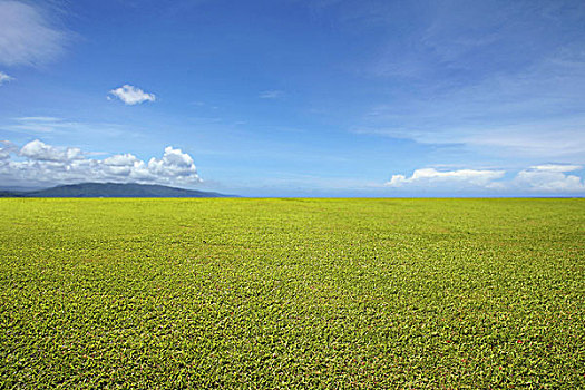 风景