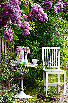 椅子,桌子,家庭花园