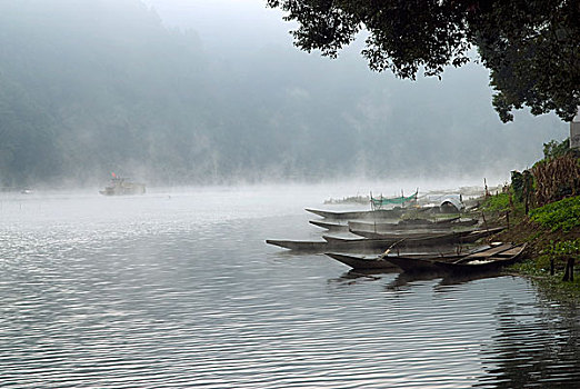 歙县新安江早晨的晨雾和停靠在岸边的小船