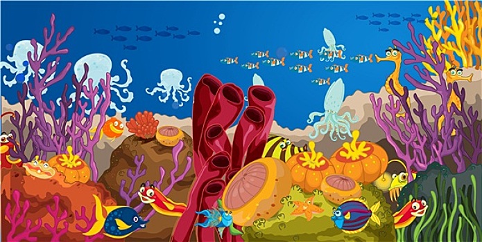 章鱼,珊瑚,水中