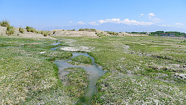乌鲁木齐达坂城区柴窝堡湖国家湿地公园