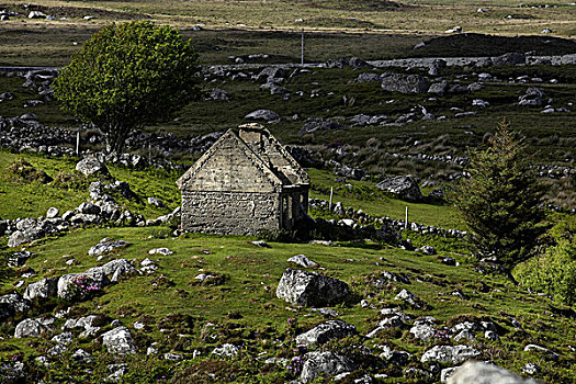 遗址,石头,房子,康纳玛拉,戈尔韦郡,爱尔兰,欧洲