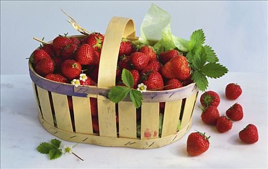 新鲜,草莓,叶子,盛屑篮