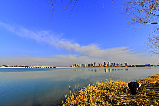 湖城银川