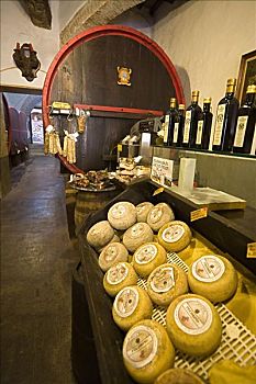 葡萄酒,奶酪,店,蒙蒂普尔查诺红葡萄酒,托斯卡纳,意大利
