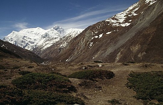 顶峰,安娜普纳,尼泊尔